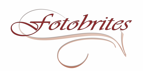 logo png